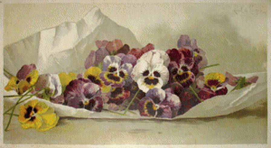 Анютины глазки - цветы, фиалки - предпросмотр