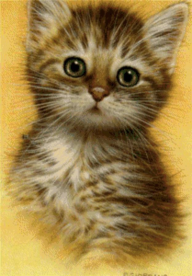 Чудо - котенок - предпросмотр