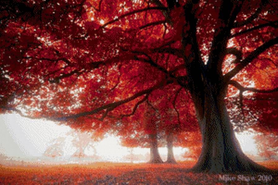 Золотая пора - погода, осень, золото - предпросмотр