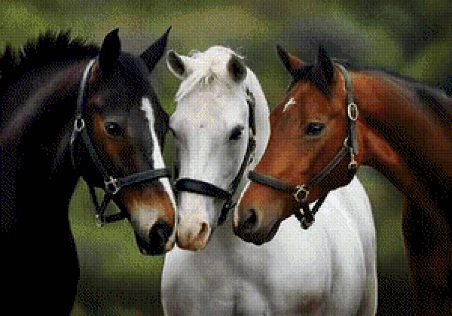 №448850 - предпросмотр