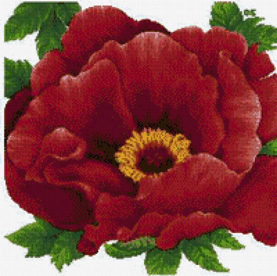 №448880 - предпросмотр