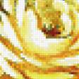 Предпросмотр схемы вышивки «Розовый букет» (№449021)