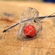 Схема вышивки «физалис»