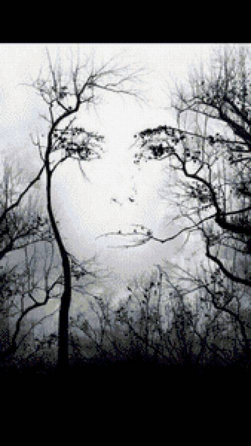 взгляд из природы - природа, глаза, взгляд, девушка - предпросмотр