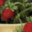 Предпросмотр схемы вышивки «земляника» (№449321)