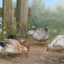 Схема вышивки «Утята»