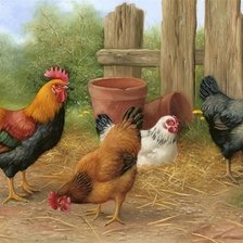 Схема вышивки «птичий двор»