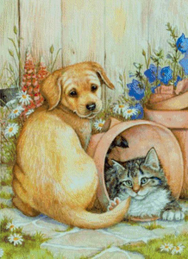 домашние любимцы - цветы, котенок, природа, лето, щенки, бабочка - предпросмотр