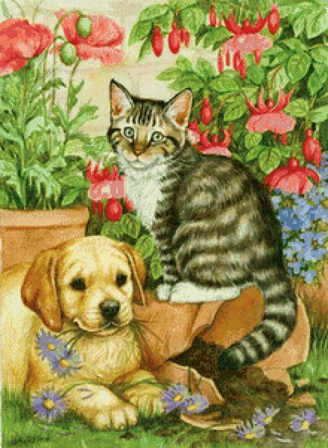 домашние любимцы - котенок, лето, щенки, бабочка, природа, цветы - предпросмотр