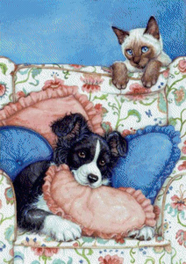 домашние любимцы - щенок, котенок - предпросмотр