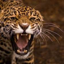 Схема вышивки «№449518»