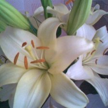 Схема вышивки «№449643»