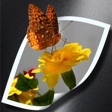 Схема вышивки «№449645»