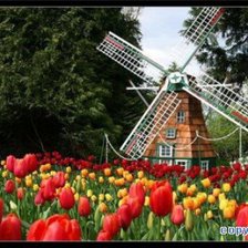 Схема вышивки «№449678»