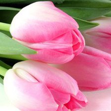 Схема вышивки «№449680»