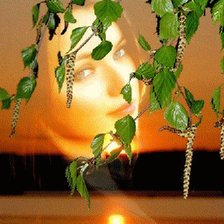 Схема вышивки «№449686»