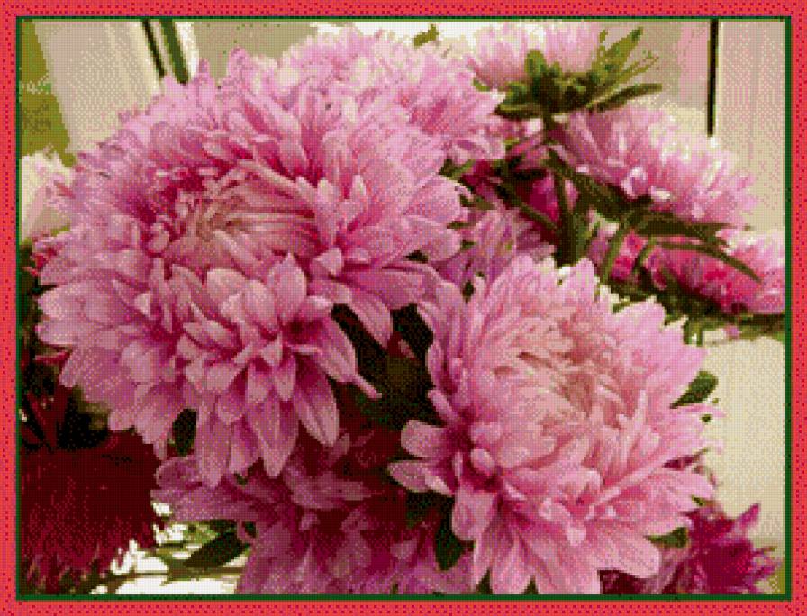 №449705 - цветы - предпросмотр