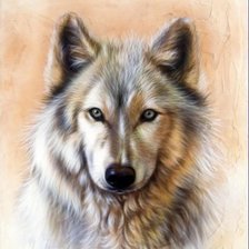 Схема вышивки «Волк»