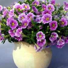 Схема вышивки «№449749»