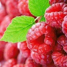 Схема вышивки «№449828»