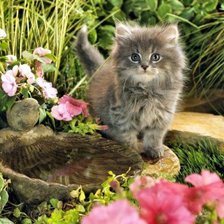 Схема вышивки «№449831»