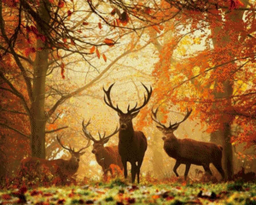 Олени осень - осень, олень - предпросмотр