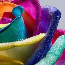 Схема вышивки «Краски»