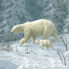 Схема вышивки «№450077»