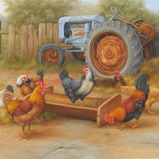 птичий двор