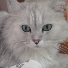 Схема вышивки «Томас»