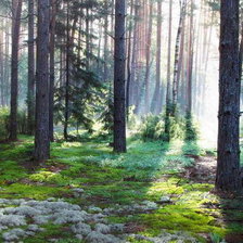 Схема вышивки «Цветущий мох»