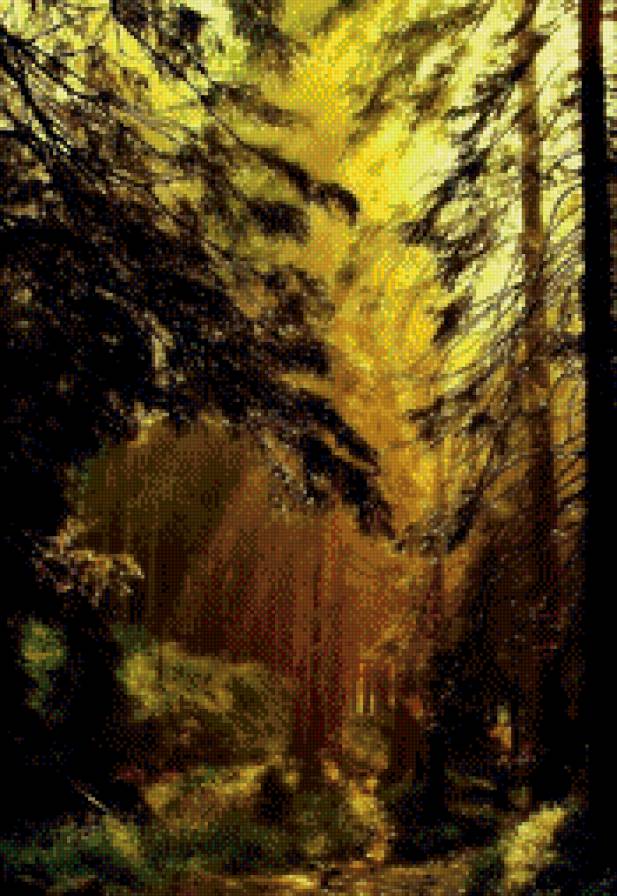 В глуши - солнечный луч, лес, чаща леса - предпросмотр