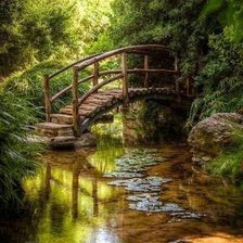 Мостик в лесу