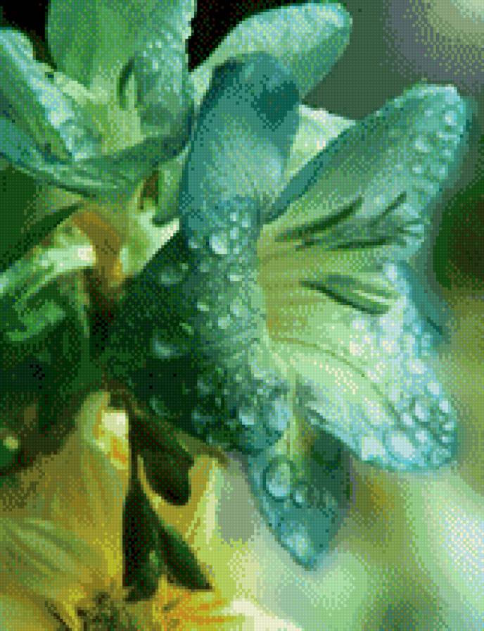 Лилия - лилия, цветы - предпросмотр