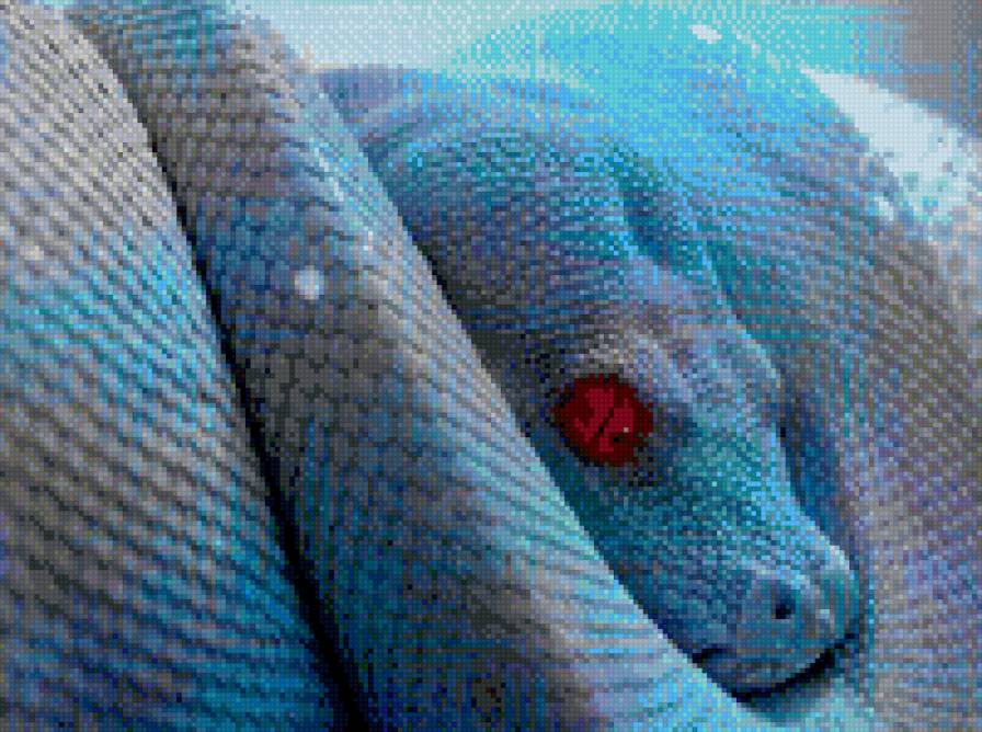 змея - предпросмотр