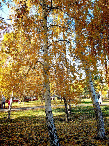 осень - времена года - оригинал