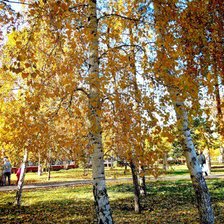 Схема вышивки «осень»