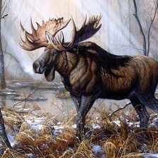 Схема вышивки «лось»