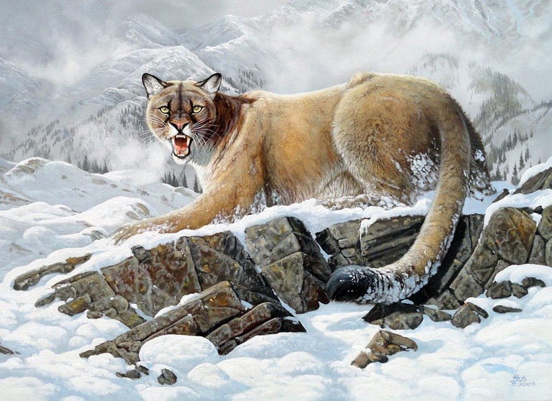 хищница - мир животных - оригинал