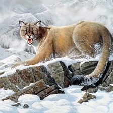 Схема вышивки «хищница»