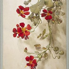 цветочная ветка