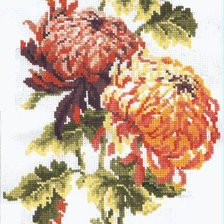 Схема вышивки «хризантемы»