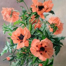 Схема вышивки «маки»