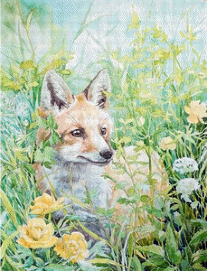 Лисичка - пейзаж, лисы, лето, цветы, животные - предпросмотр