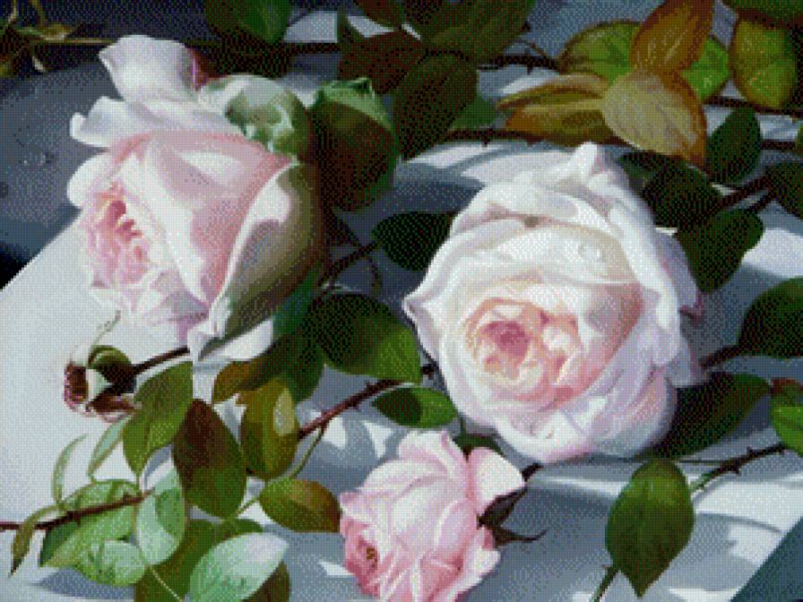 Серия "Букет" - розы, цветы, букет - предпросмотр