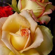 Схема вышивки «№450802»