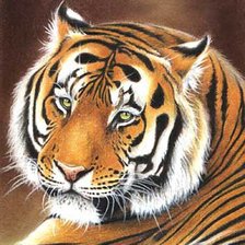 Схема вышивки «№450939»