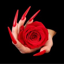 Схема вышивки «Роза»