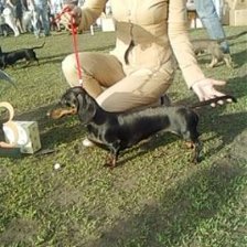 Схема вышивки «Принцесса»