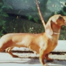 Схема вышивки «naomi»